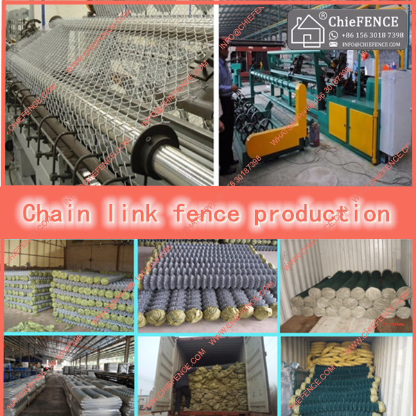 PVC Coated chain link fencing, chain link fencing,chain link fence mesh