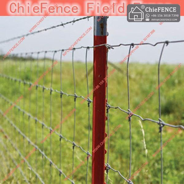 Field fence, Field fencing, Horse fencing